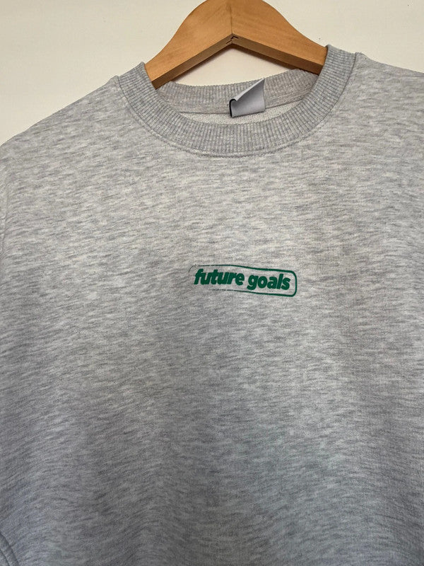 Zara-Grey Sweatshirt Size Small with "Future Goals"