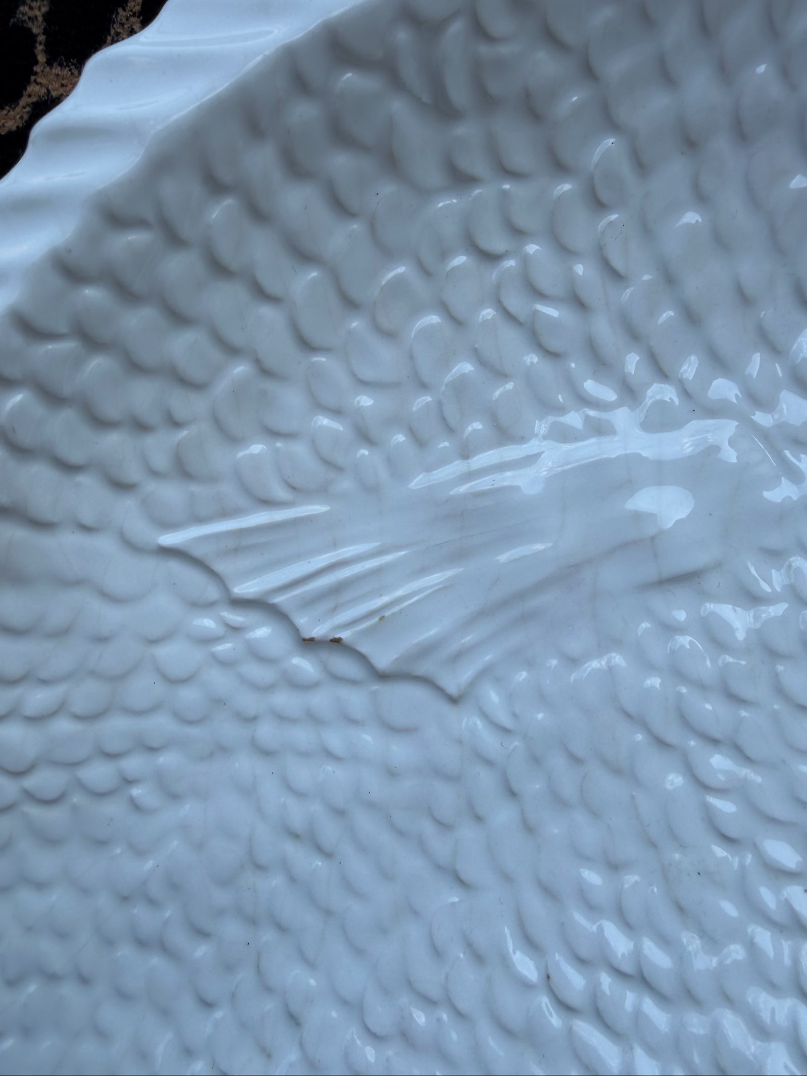 White Ceramic Fish Serving Plate with Textured Scales and Tail