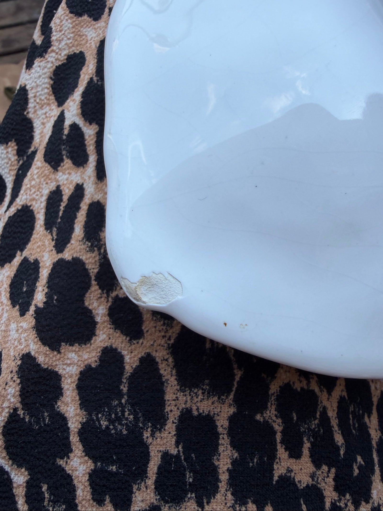 White Ceramic Fish Serving Plate with Textured Scales and Tail