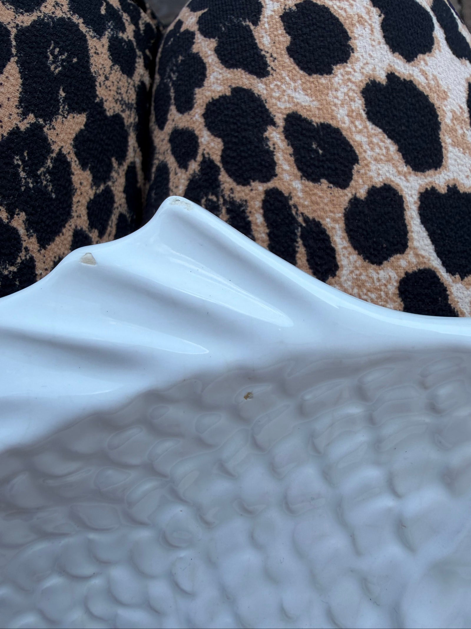 White Ceramic Fish Serving Plate with Textured Scales and Tail